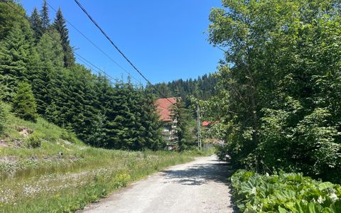 Teren 1.936 mp în Predeal – Oportunitate Dezvoltare cu Autorizație de Construire