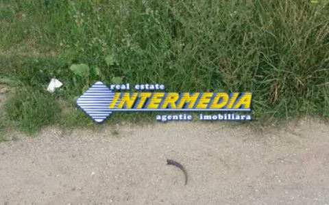Teren Intravilan de vanzare cu in suprafata de 1600 mp  zona Alba-Micesti