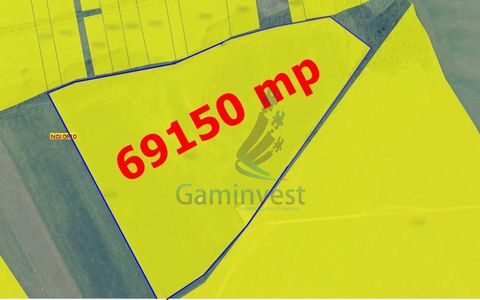 De vanzare teren extravilan 69150 MP in Nojorid, Bihor