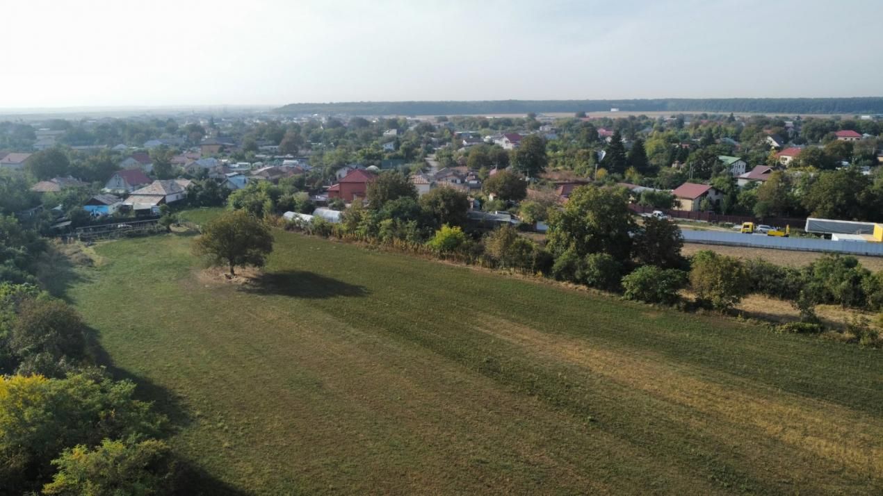 Dascălu -Teren intravilan arabil 7.182 mp – fotografia 9 din 13