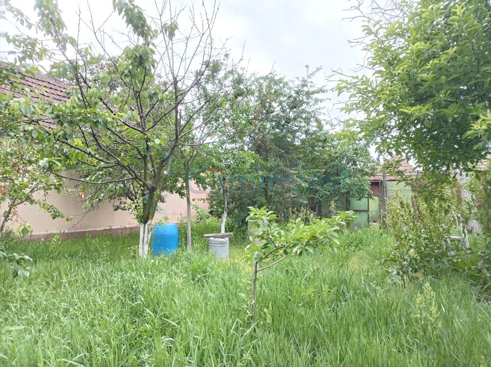 Casa de vanzare in Oradea, zona Calea Clujului, 780 mp teren – fotografia 12 din 12