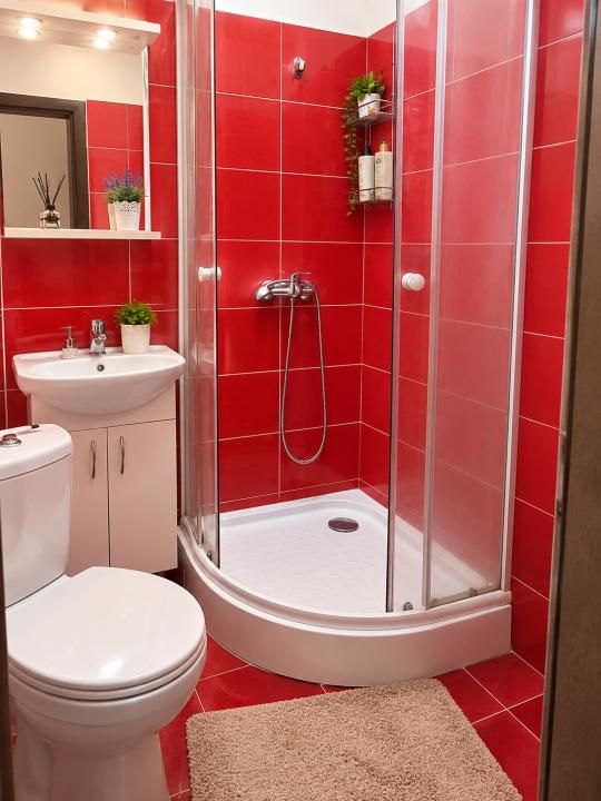 Apartament 1 camera, mobilat 22 mp, etaj 3 - Buziasului – fotografia 5 din 5