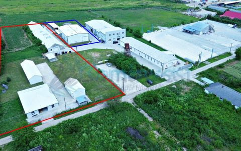Hala de vanzare cu exclusivitate, la 24 km de Oradea, in Salard, Bihor