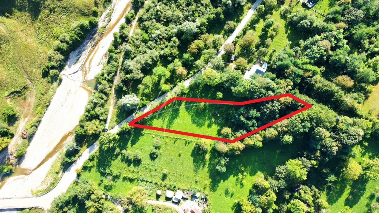 TEREN IN SUPRFATA DE 2870 MP IN PROVITA DE SUS VALEA BRADULUI JUD PRAHOVA – fotografia 9 din 16