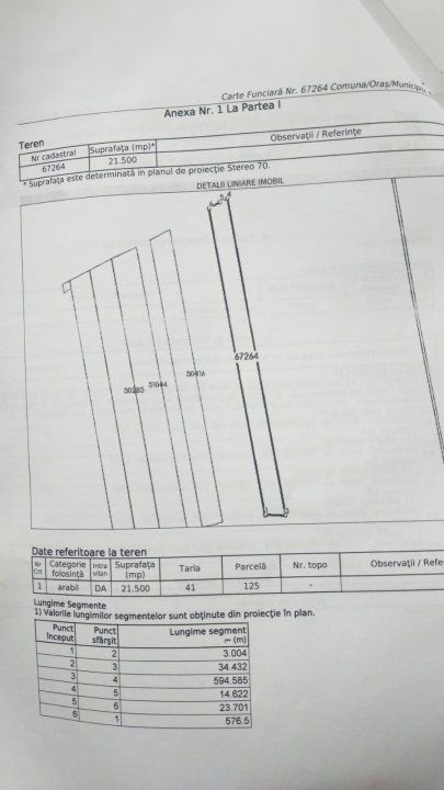 Teren Vanzare Intravilan Branesti investitie Zona Industriala Makita – fotografia 35 din 35