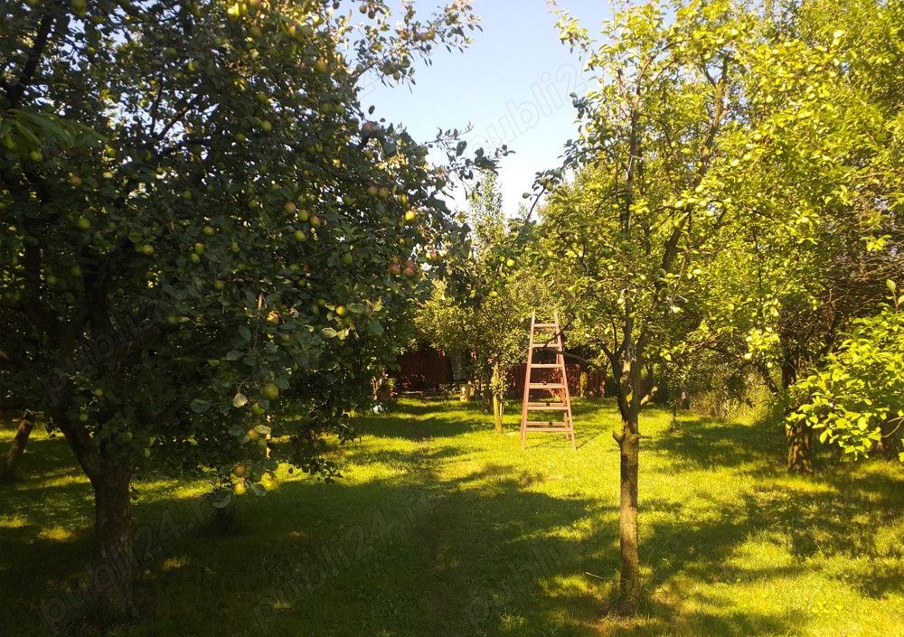Teren Intravilan Vanzare 1400 mp. Alba Micesti deschidere 16m. Toate Utilitatile – fotografia 2 din 6