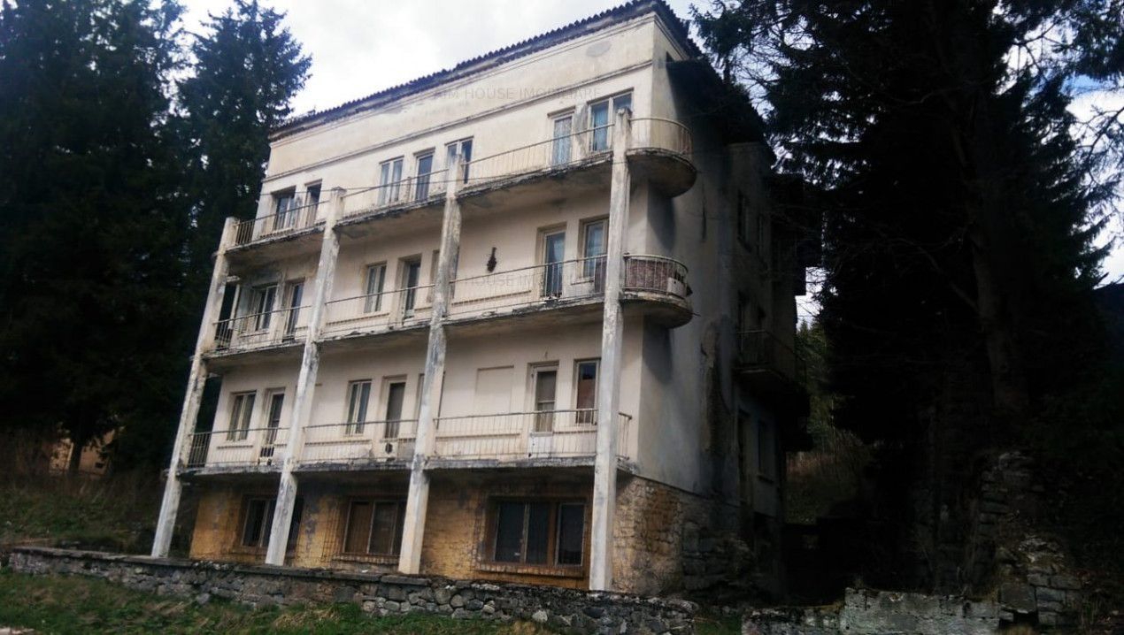 Teren 10.000 mp cu tripla deschidere pretabil pensiune/azil. – fotografia 4 din 5