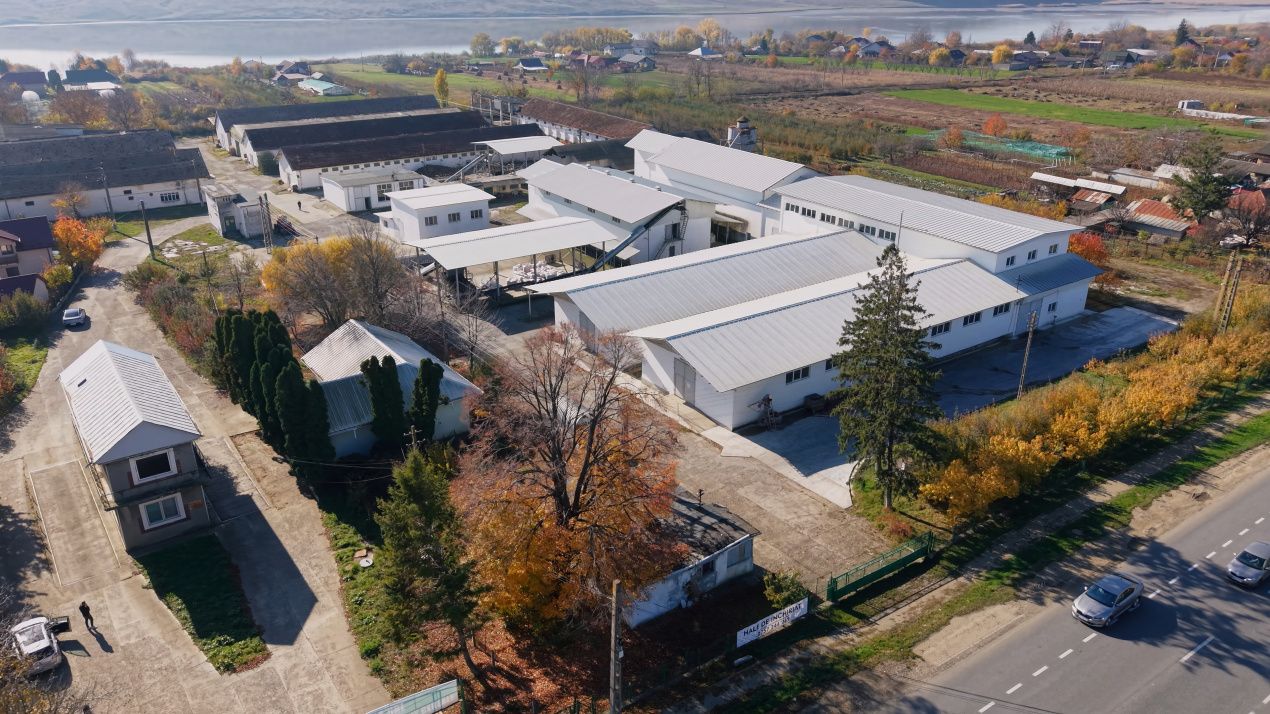Complex Agroindustrial – Stație Uscare | Condiționare | Depozitare Seminte – fotografia 8 din 31
