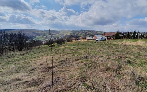 Teren intravilan | vanzare | 2745 mp | Feleacu