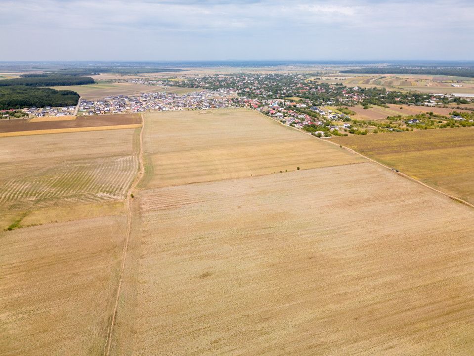 DASCALU - TEREN INTRAVILAN 7500 MP, INVESTITIE! – fotografia 10 din 17