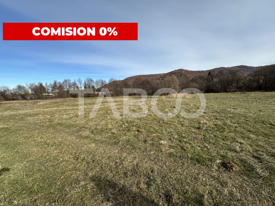 COMISION 0% Teren extravilan 1630 mp langa Rau pe Valea Sebesului – fotografia 2 din 3
