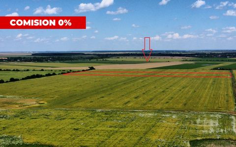 Teren Intravilan 20.000 mp Creața Dascălu, T66– dubla deschidere