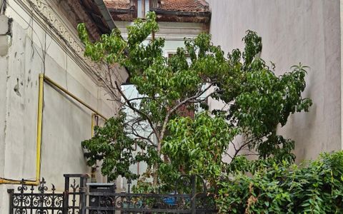 De vanzare 2 camere in vila interbelica, curte comuna zona Armeneasca