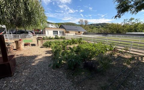 VANZARE Casa-vila cu teren generos si padure, Surani-Prahova
