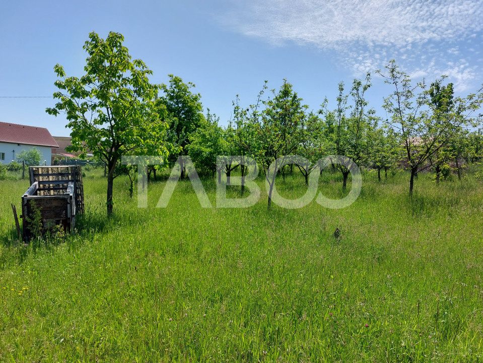 Casa de vanzare cu teren 2000 mp 5 camere  Sura Mare Hamba Sibiu – fotografia 14 din 37