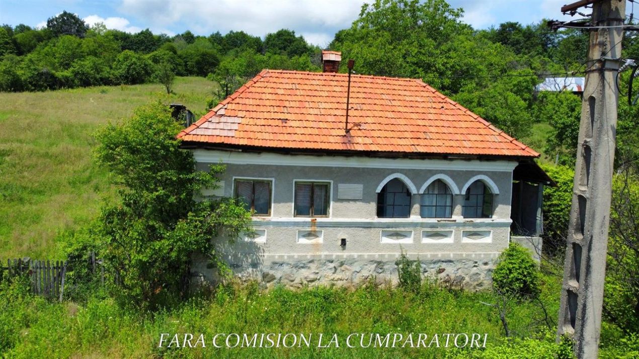 TEREN 19.822 MP CADRU NATURAL MINUNAT – fotografia 13 din 24