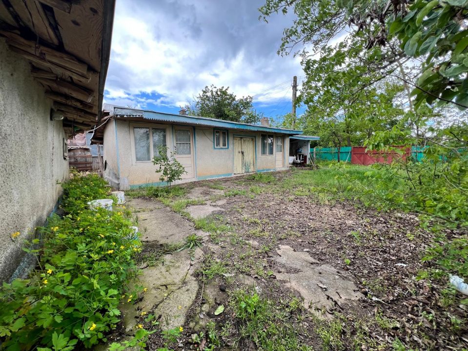 Casă + teren 4430 mp, vie și pomi fructiferi, 22 km de Tecuci – fotografia 9 din 36