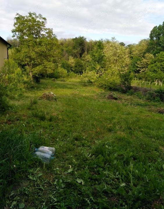 Teren 2500 mp intravilan Smeura – cadru natural, pârâu pe proprietate, utilități – fotografia 9 din 9