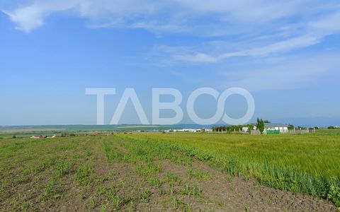 Teren de vanzare 5000 mp - pretabil investitie - Sura Mica