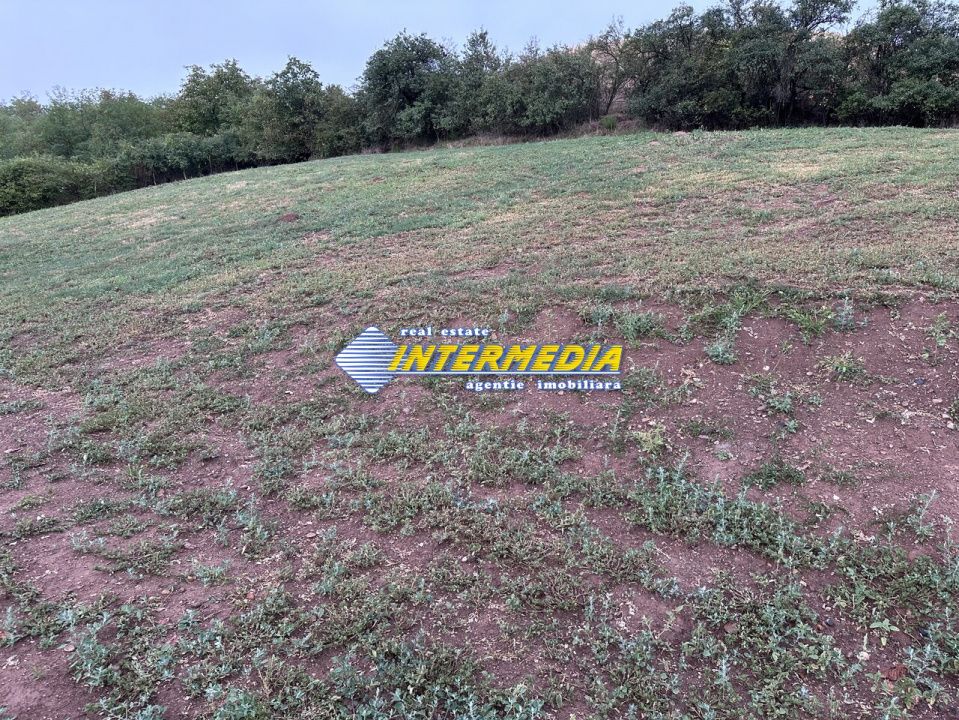 Teren intravilan de vanzare 1300 mp in Sard – fotografia 3 din 4