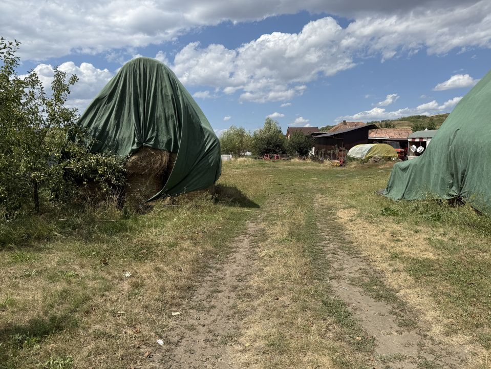 Teren intravilan de vânzare 1.483 mp în centrul satului Pata Cluj – fotografia 4 din 6