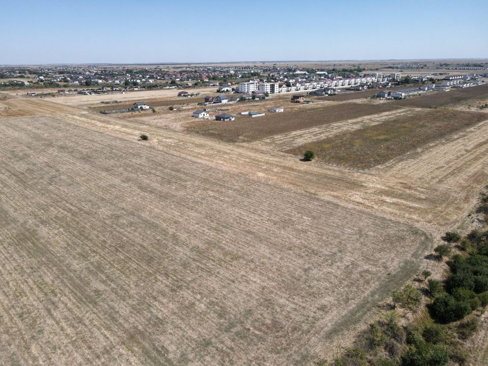 Teren Intravilan Com Berceni | utilitati: curent - gaz | #MG14E – fotografia 6 din 8