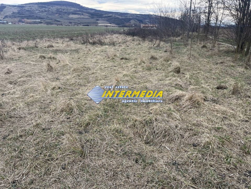 TEREN INTRAVILAN I 800 MP I IGHIU I LATIME 29 ML I IDEAL CASA SAU CABANA I – fotografia 3 din 5