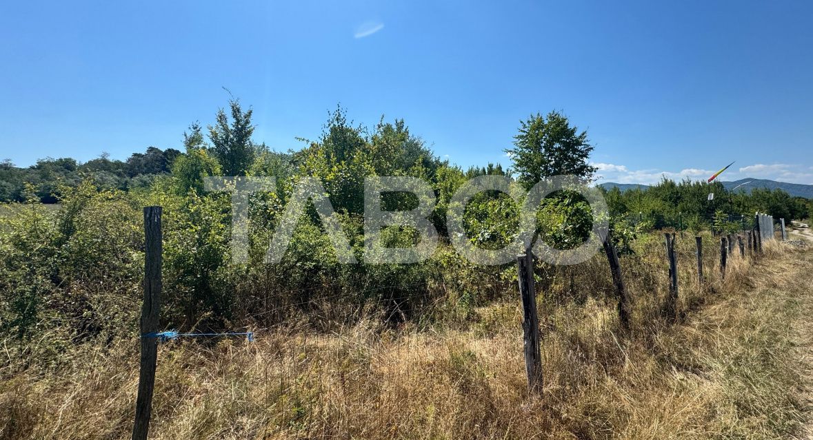 Teren extravilan 2700 mp oportunitate investitie Calea Poplacii Sibiu – fotografia 3 din 3
