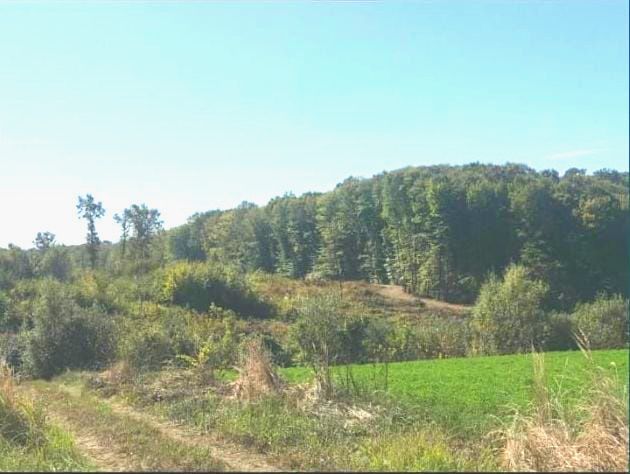 Teren Snagov -900 mp – fotografia 1 din 9