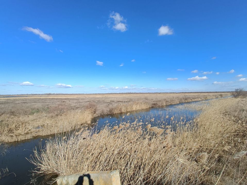Fermă piscicolă 1100 ha - Chilia Veche Delta Dunării – fotografia 18 din 30