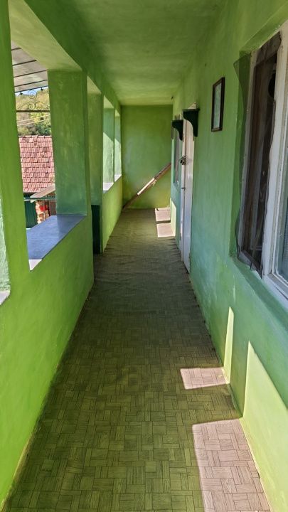 Casă în Cricău cu 1.375 mp teren, anexe, utilități, vie și livadă - Oportunitate – fotografia 45 din 54