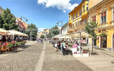 Apartament la cheie 2 camere 80 mpu in zona Centrului Istoric Sibiu