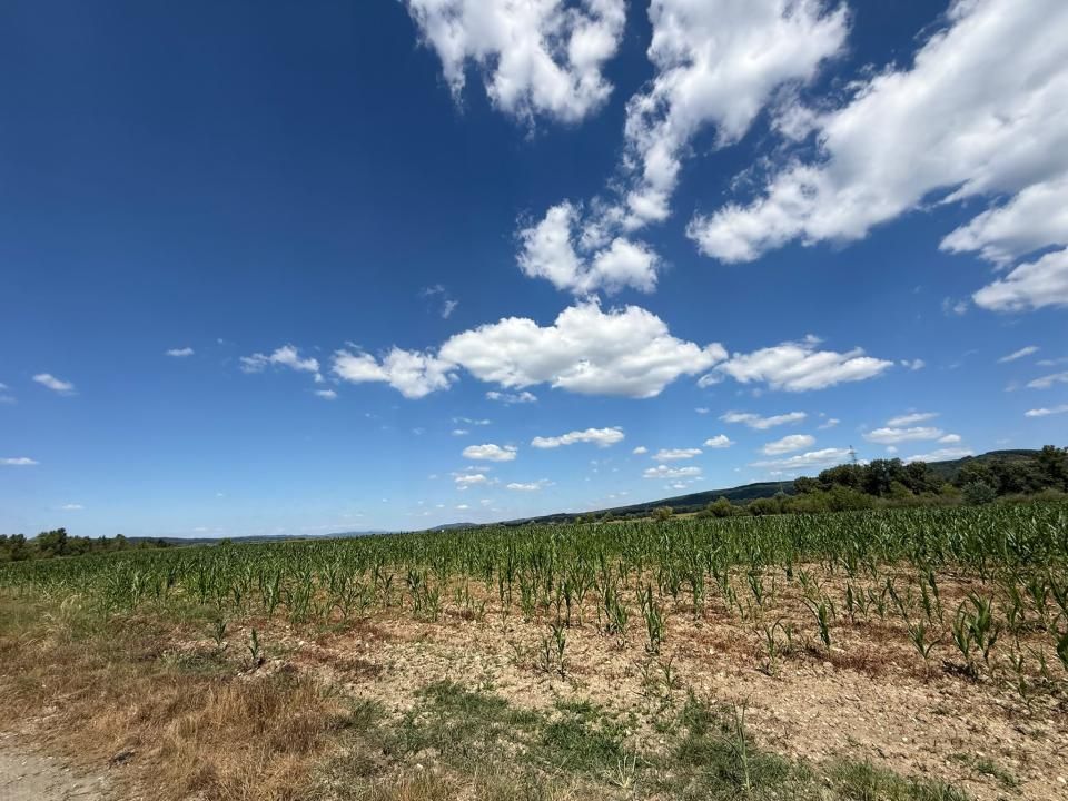 Teren 14.000 mp în Budeasa cu vedere superbă către baraj – fotografia 3 din 5