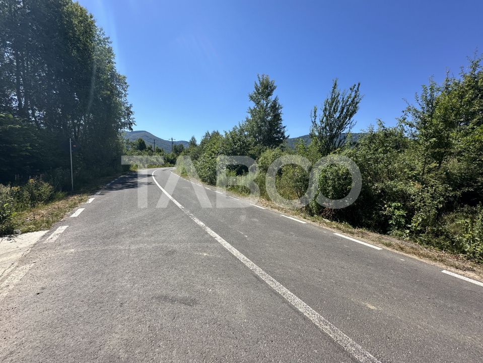 Comision 0% Teren extravilan cu utilitati 2000 mp pe Valea Sebesului – fotografia 3 din 3