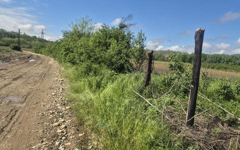 De vanzare teren la super pret in Albota, Cerbu, Arges
