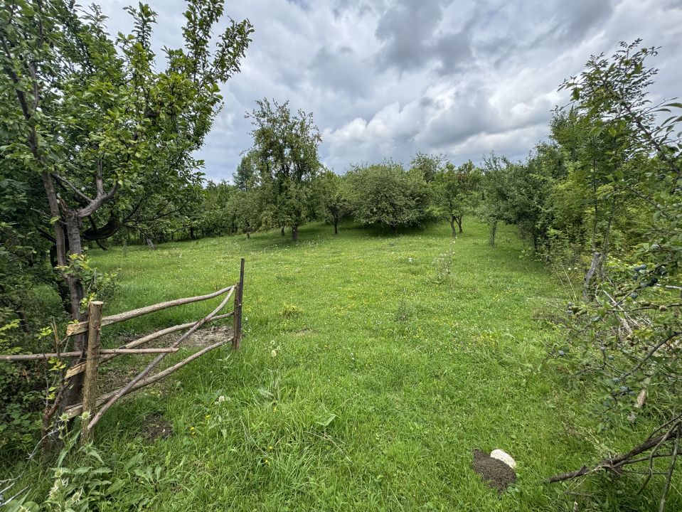 🏡 Teren intravilan | 22Ari. |  Budacu de Sus, la doar 17 km de Bistrița! 🌳 – fotografia 1 din 4