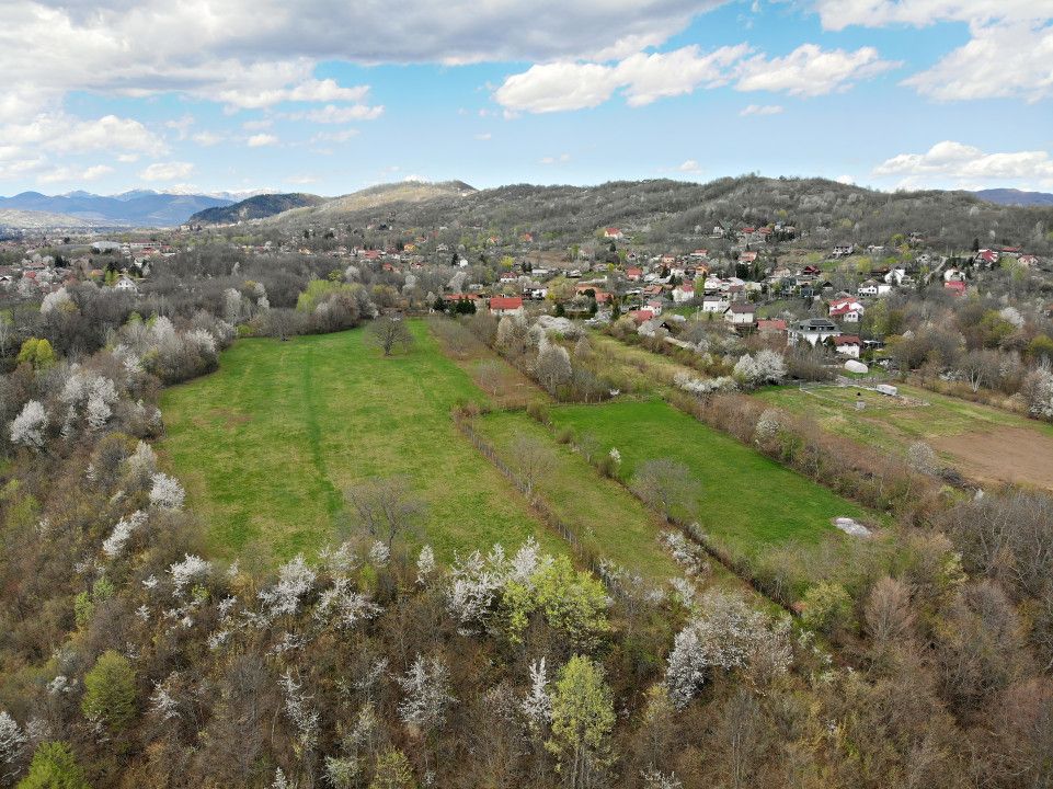 Mountain Plateau - 23.345 SQM - Exclusive Estate | Jud Prahova - Valea Prahovei – fotografia 8 din 10