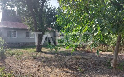 Casa si curte individuala 2 corpuri de casa separate 4 camere gradina