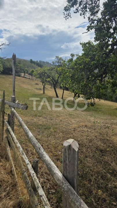 Teren de vanzare 8.300 mp Plesi Loman judetul Alba – fotografia 7 din 10