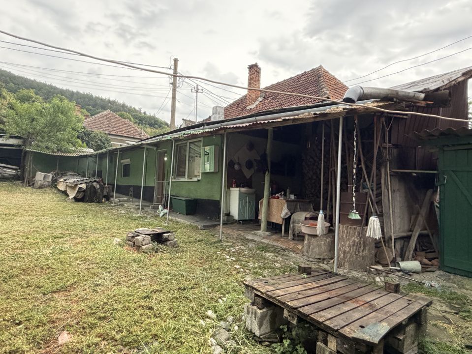 Casă în Cricău cu 1.375 mp teren, anexe, utilități, vie și livadă - Oportunitate – fotografia 25 din 54