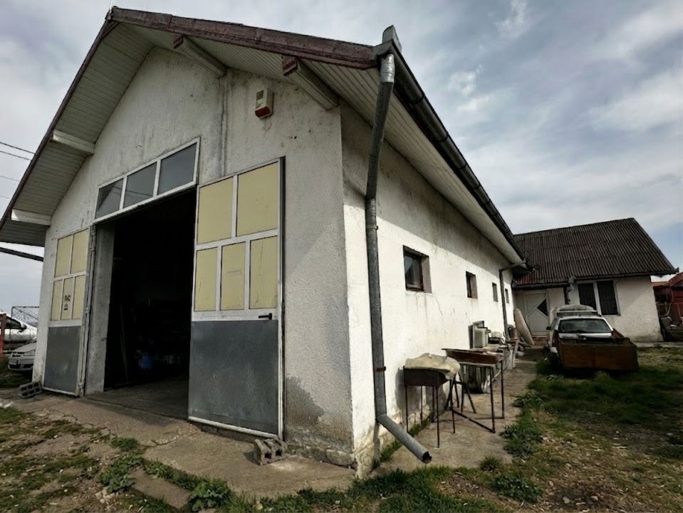 Hala de vanzare 259 mp cu teren 750 mp utilitati – fotografia 2 din 18