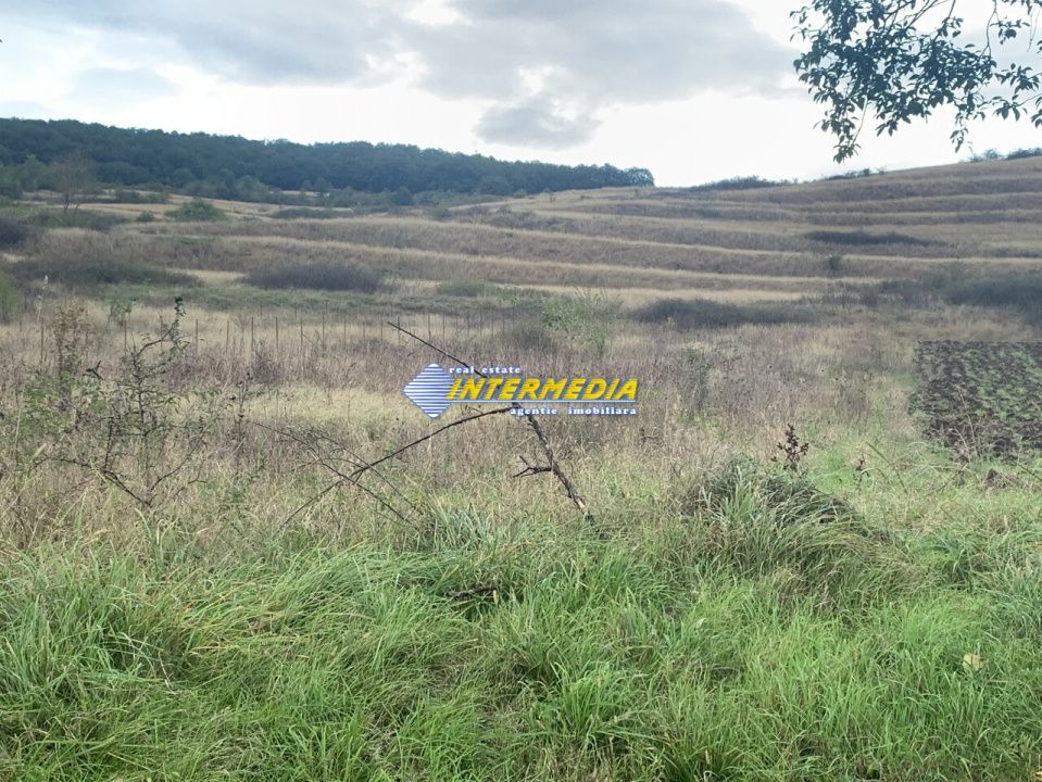 Teren intravilan de vanzare 1248 mp d=15 mTeleac cu utilitati panorama deosebita – fotografia 1 din 4