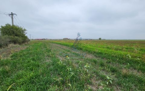 Teren intravilan de vanzare in zona Nojorid, Bihor
