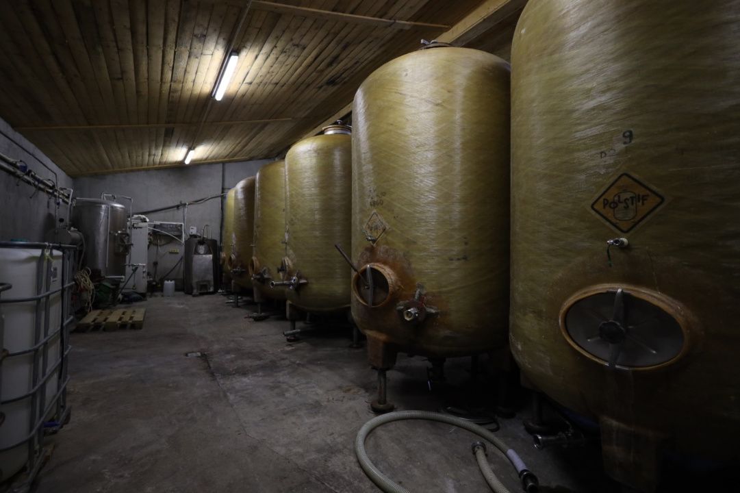 🍷 Oportunitate unică de investiție în inima Transilvaniei! Crama Mugurel! – fotografia 2 din 13