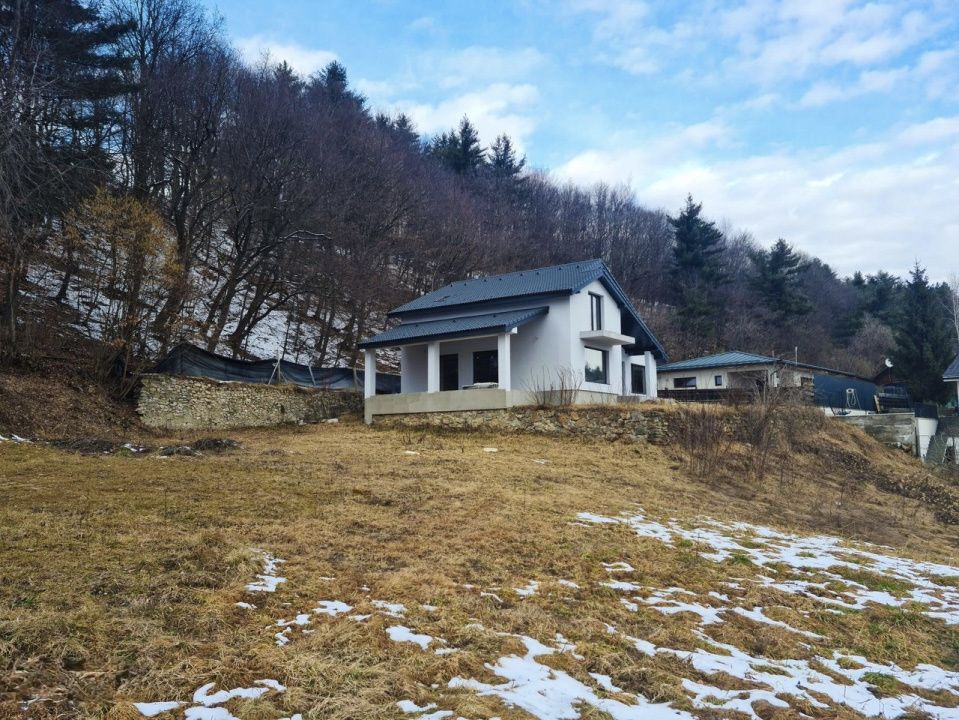 Casă P+M deosebită, 159 mp utili, situată pe Valea Căpriorii,  FeleacU – fotografia 3 din 8