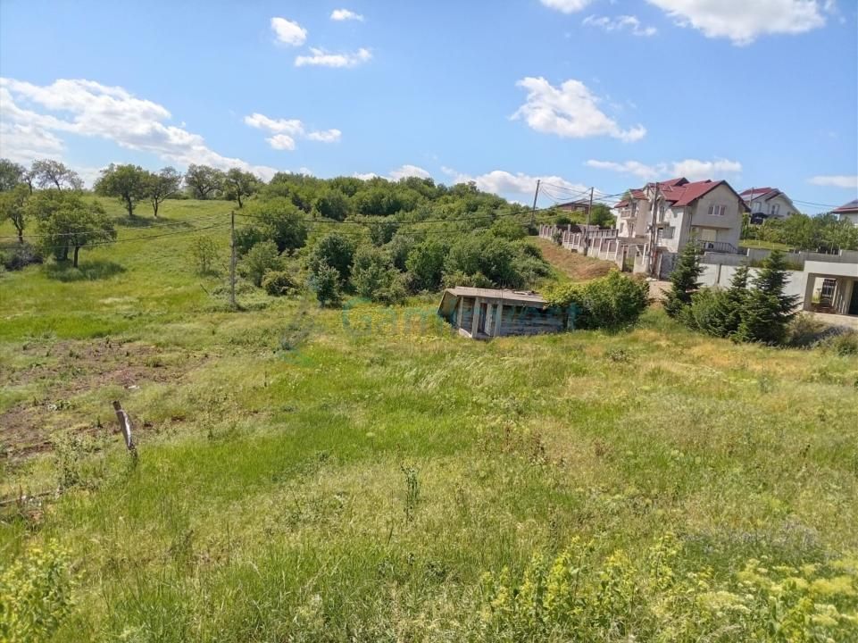 Teren intravilan de vanzare in Paleu, Bihor – fotografia 2 din 4