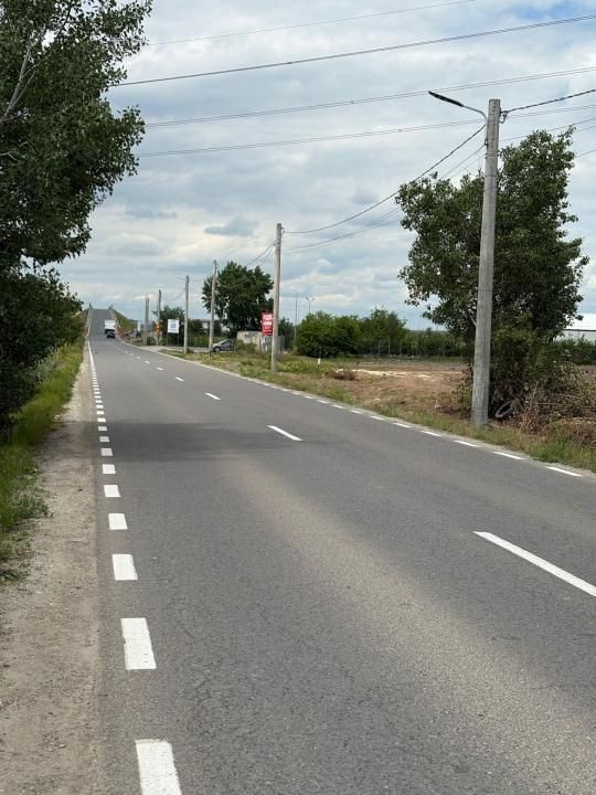 Teren intravilan 20.000 mp | DJ 602 la stradă | 55 ml deschidere | Ciorogârla – fotografia 4 din 5