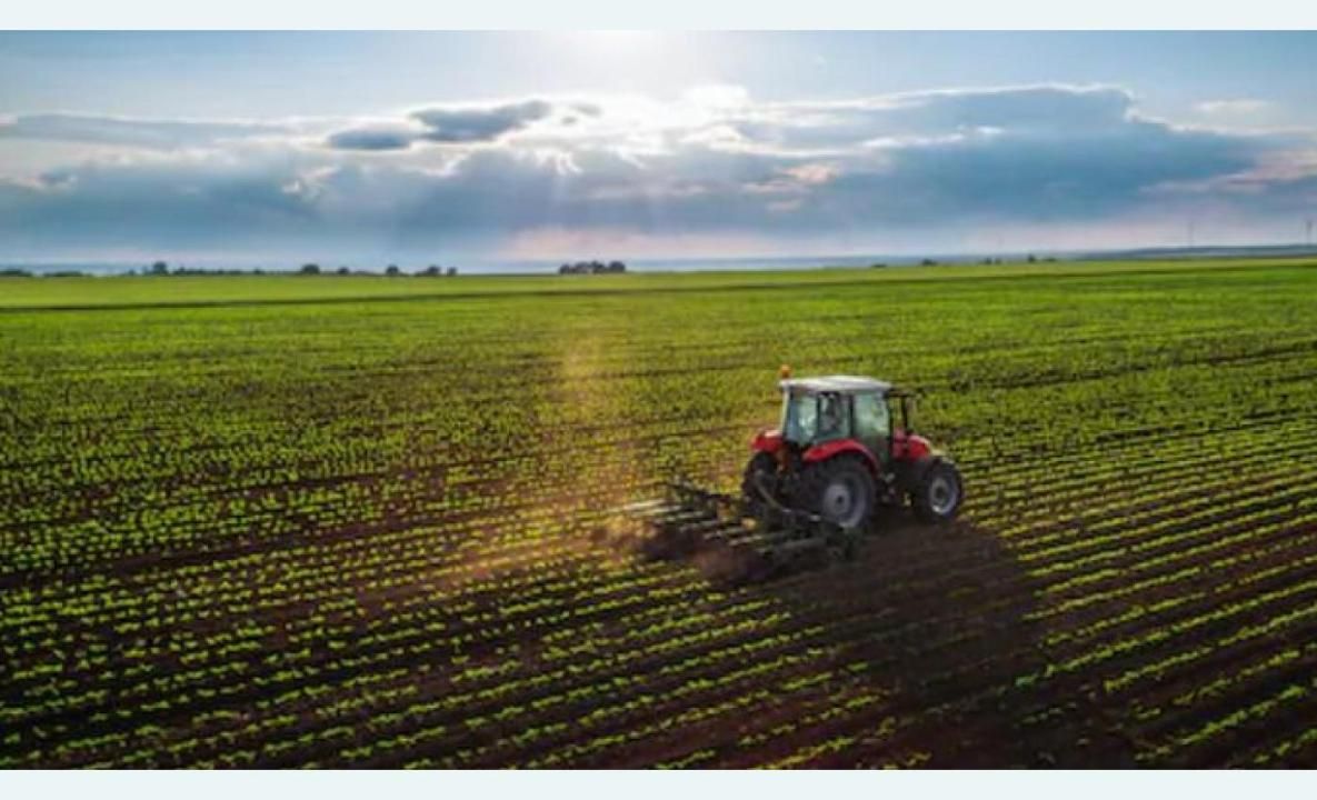 Teren agricol extravilan de vânzare – 22.960 mp – Măreș, Albota, Argeș – fotografia 1 din 4