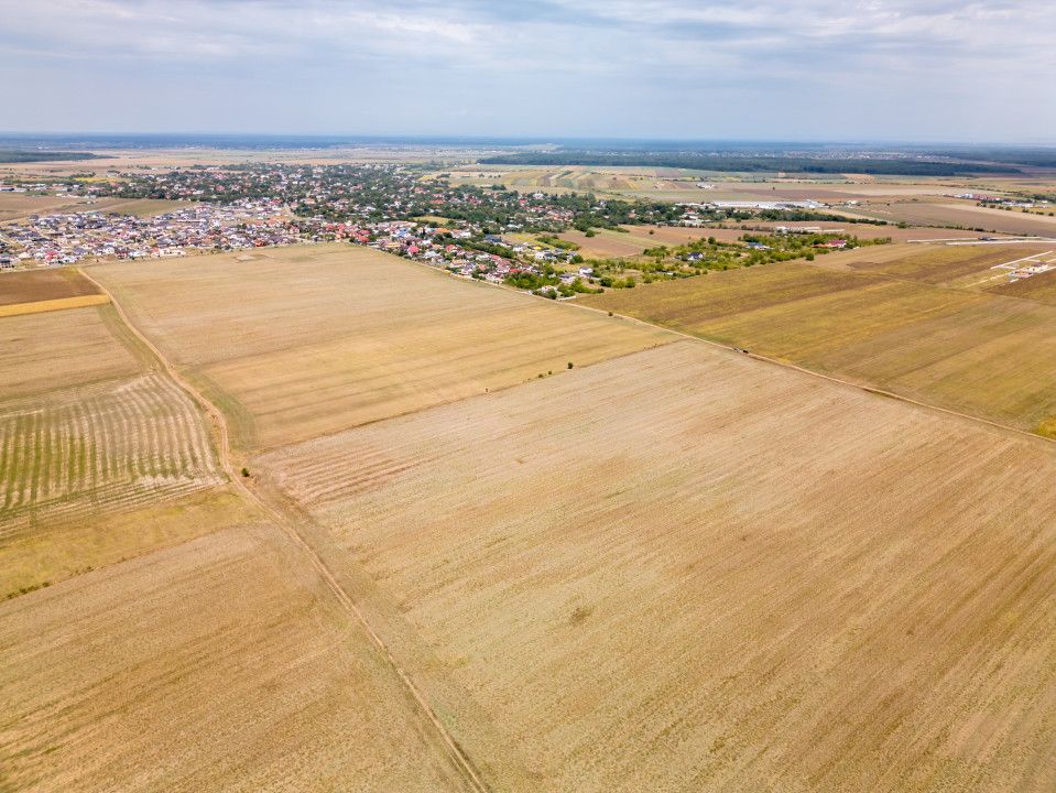 DASCALU - TEREN INTRAVILAN 7500 MP, INVESTITIE! – fotografia 11 din 17