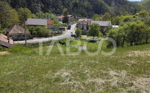 Teren intravilan de vanzare in Sasciori jud Alba
